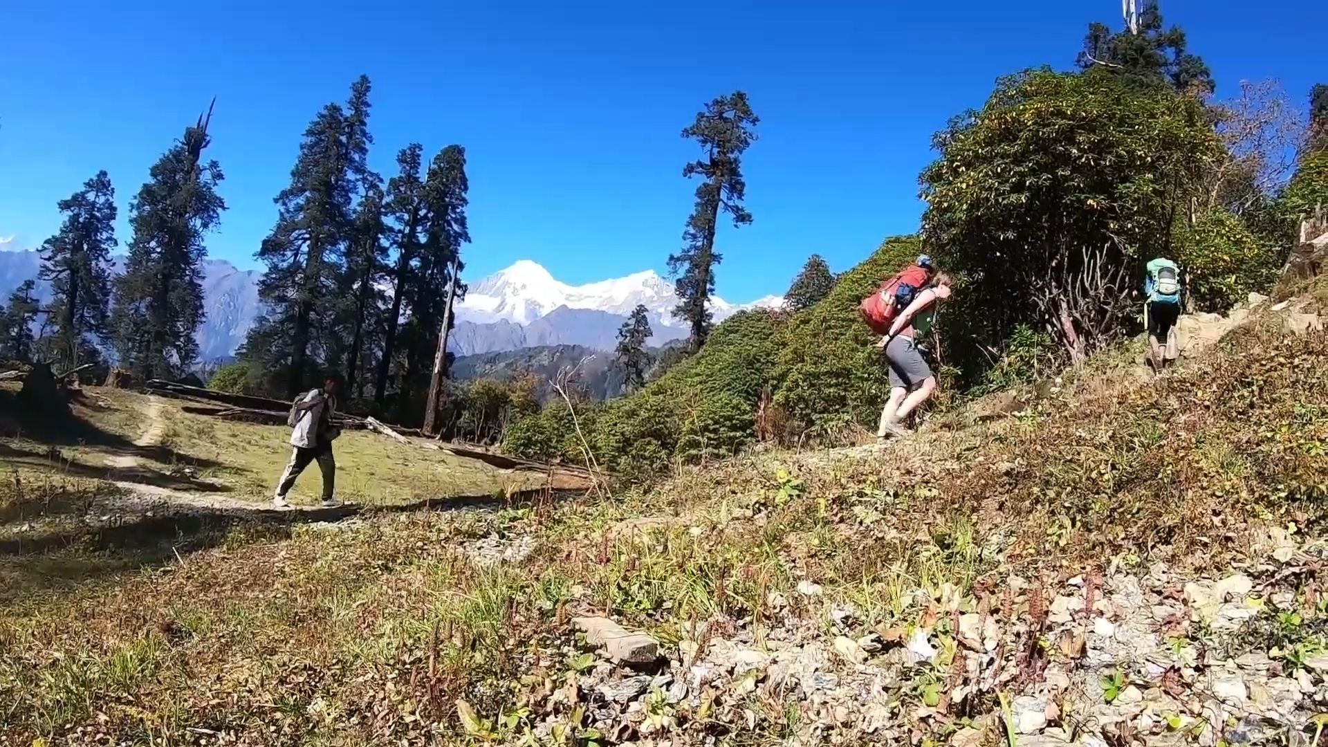 nepal ganesh himal trail
