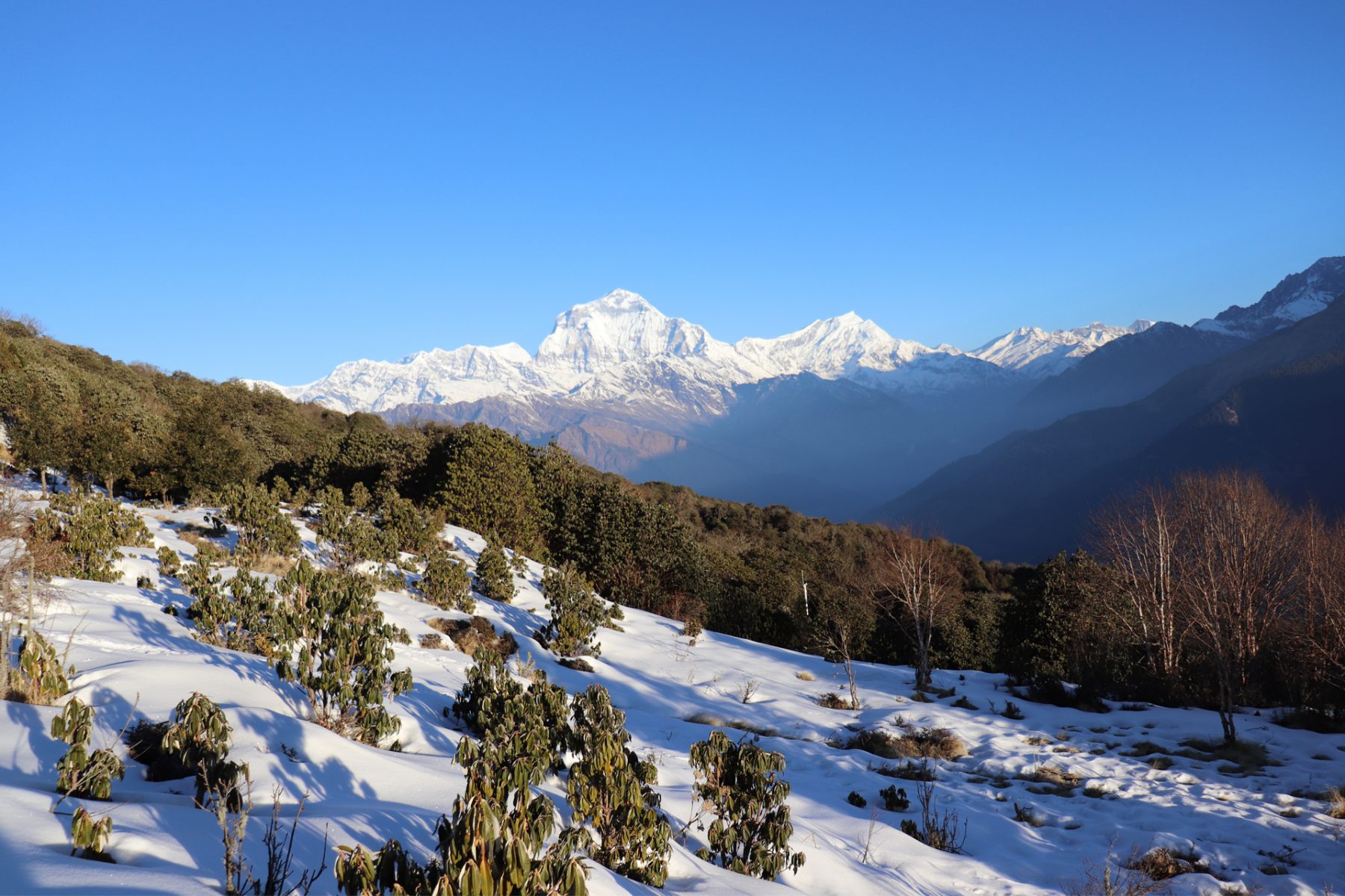 nepal mardi himal trail