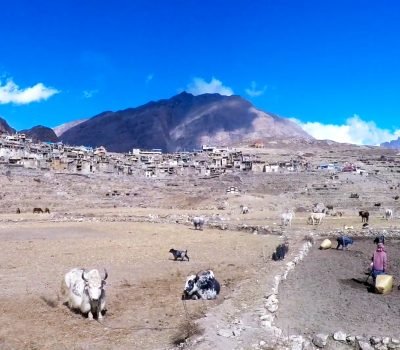 Nar Phu Valley Trek