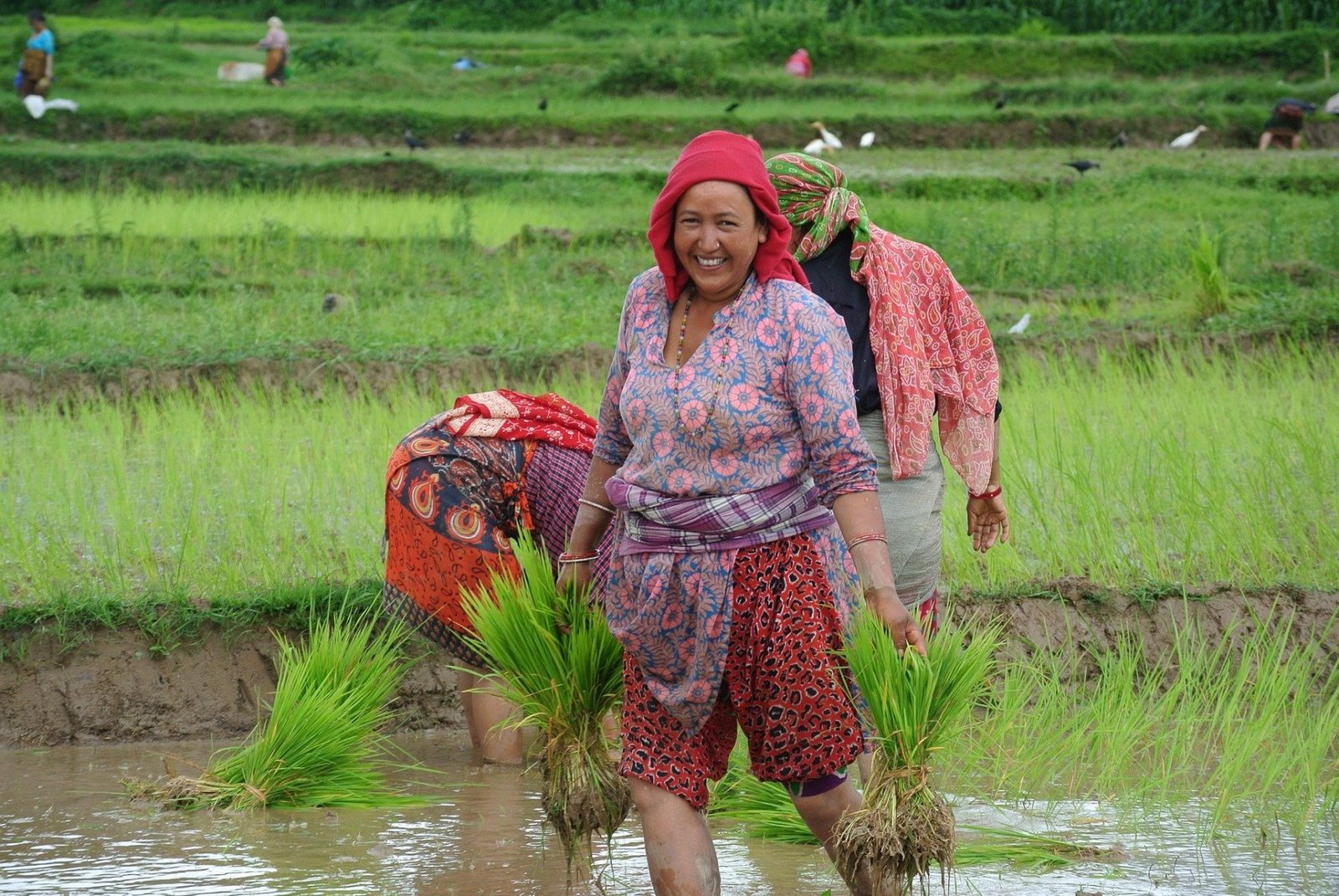  Nepal Trekking Agency