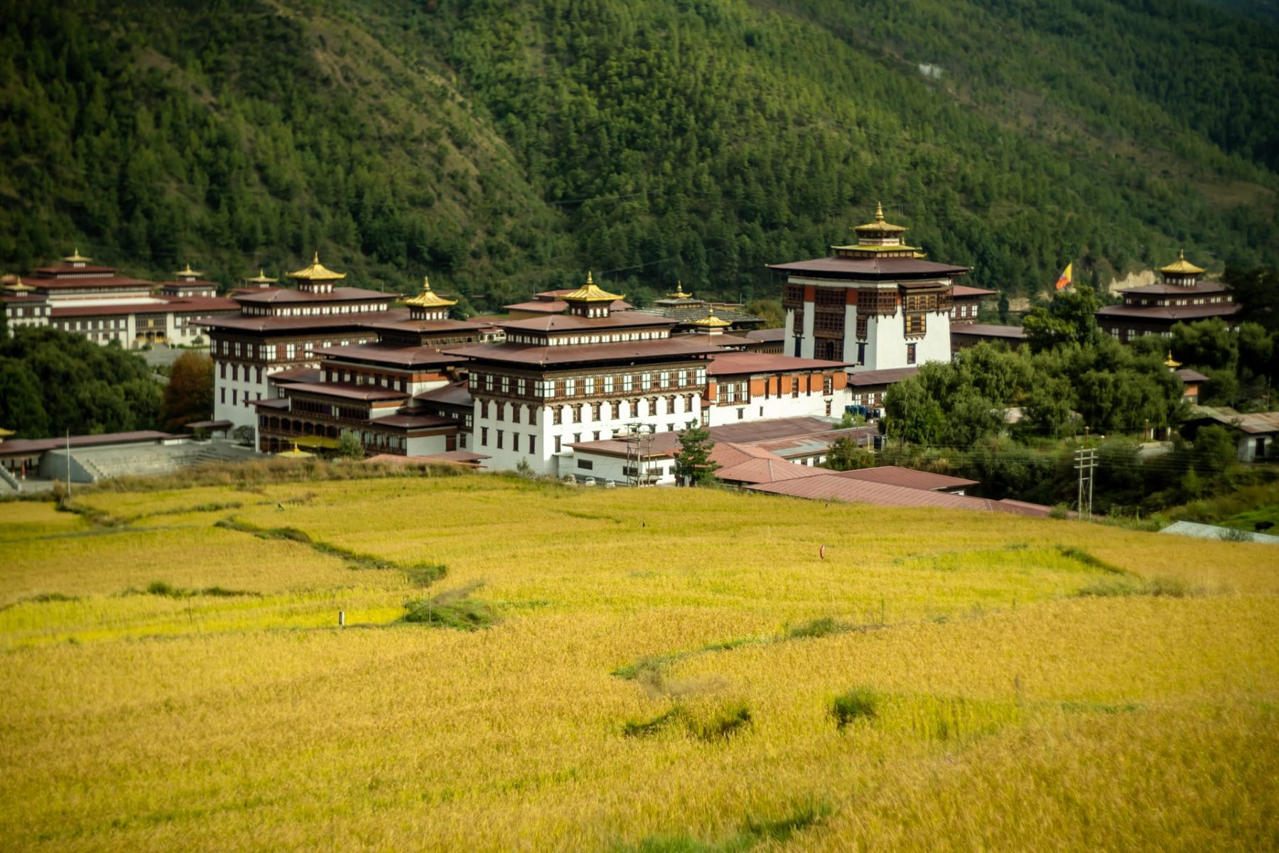 Best of Bhutan Tour – 8 Days
