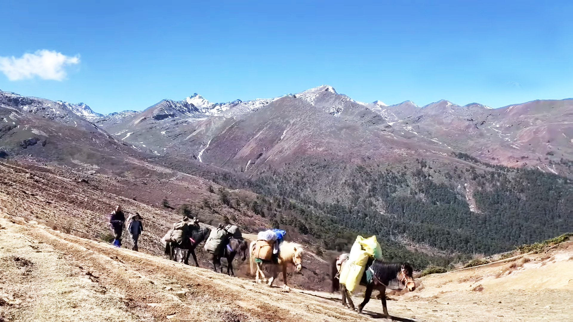 dagala-trek-bhutan