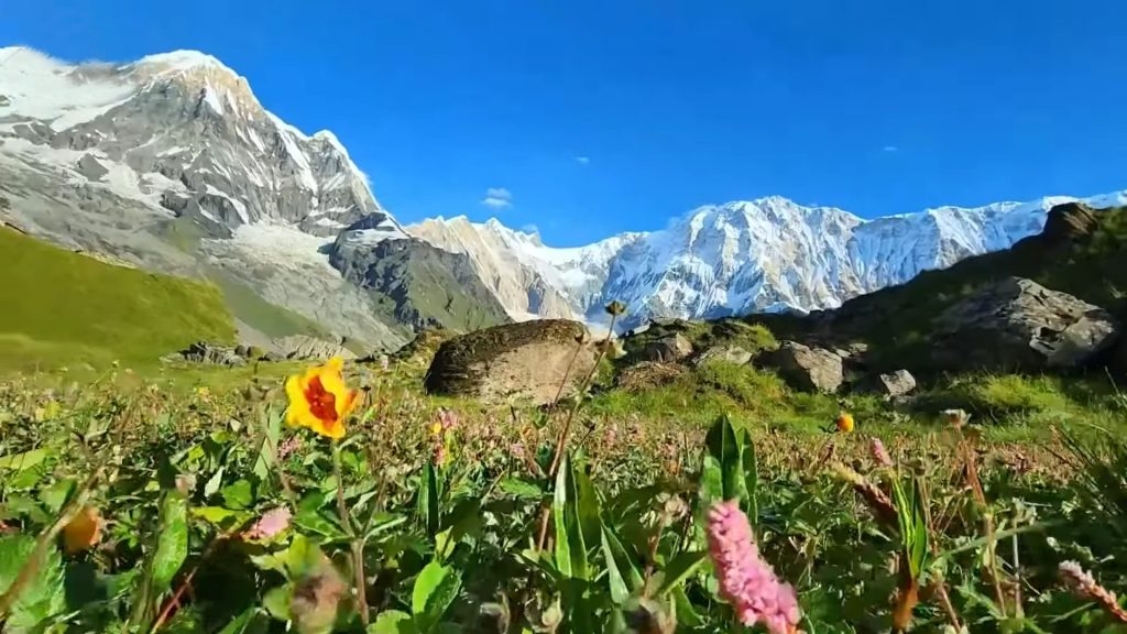 Best Short and Easy Trek in Nepal