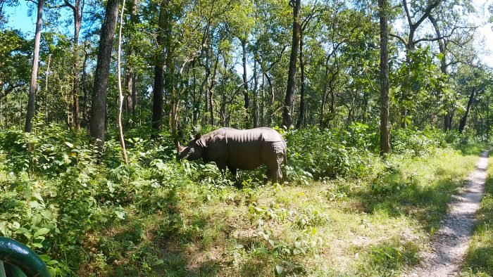 chitwan national park