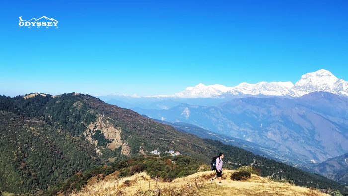 Ghorepani Poon hill Trek (Best treks in Nepal for beginners)