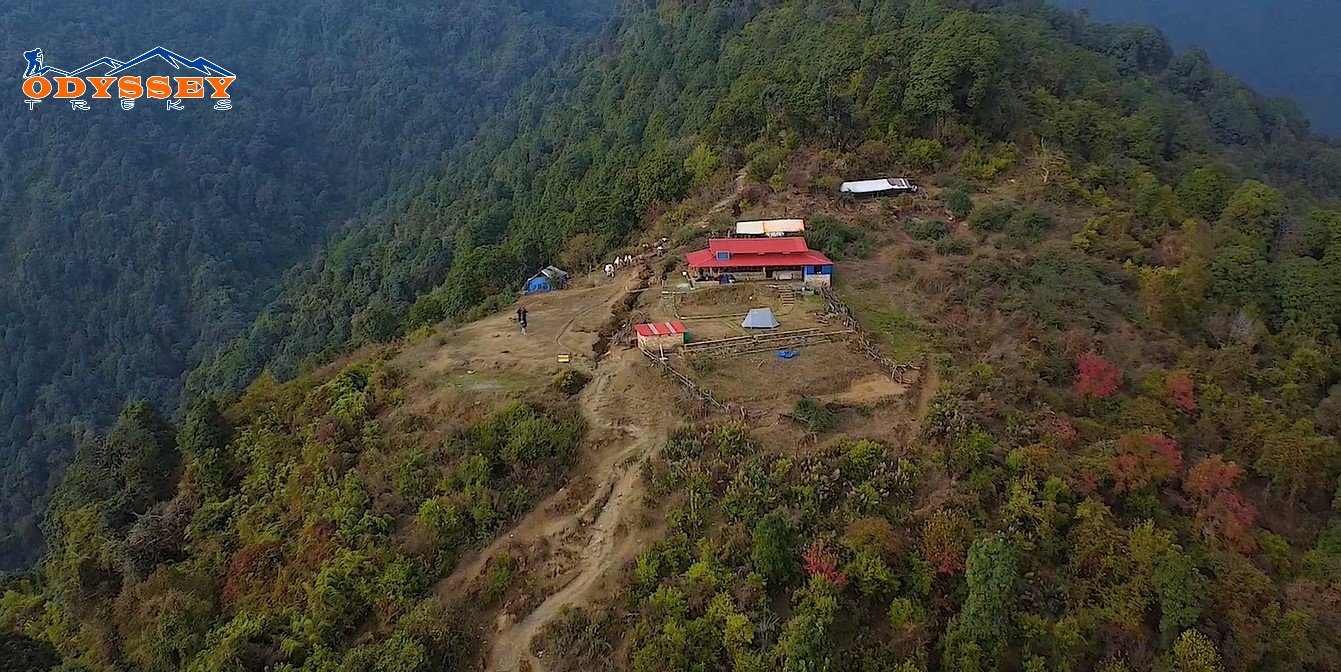Arial view of the village 